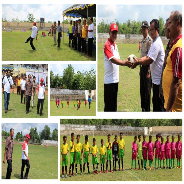 Gambar TURNAMEN SEPAK BOLA USIA DINI PIALA BUPATI GUNUNGKIDUL TAHUN 2017